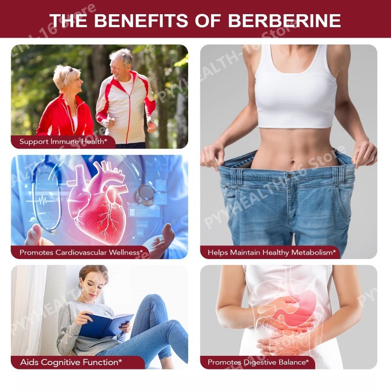 Kapsułki z berberyną 1200 mg n – Berberine Hcl Capsule recenzja i cena